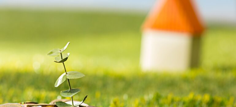 Plant growing in coins glass jar for money against green grass. Saving and investment financial concept for new house