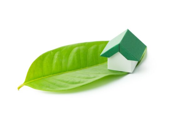 Miniature green house on leaf over white background
